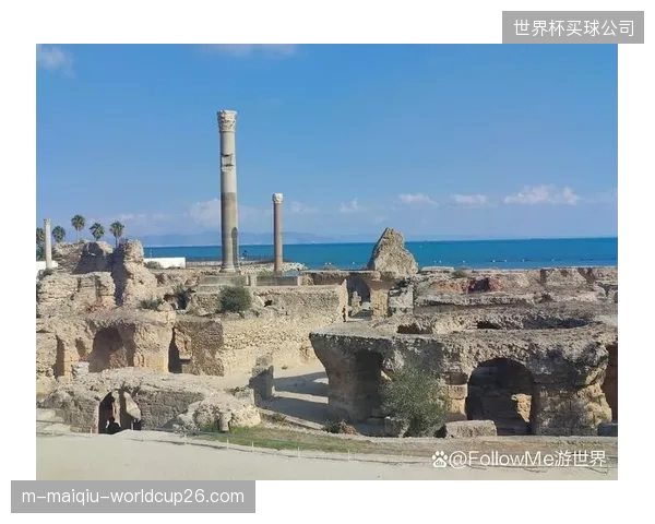 突尼斯以历史级防守晋级，拉穆奇的铁桶阵战术面临世界检验。